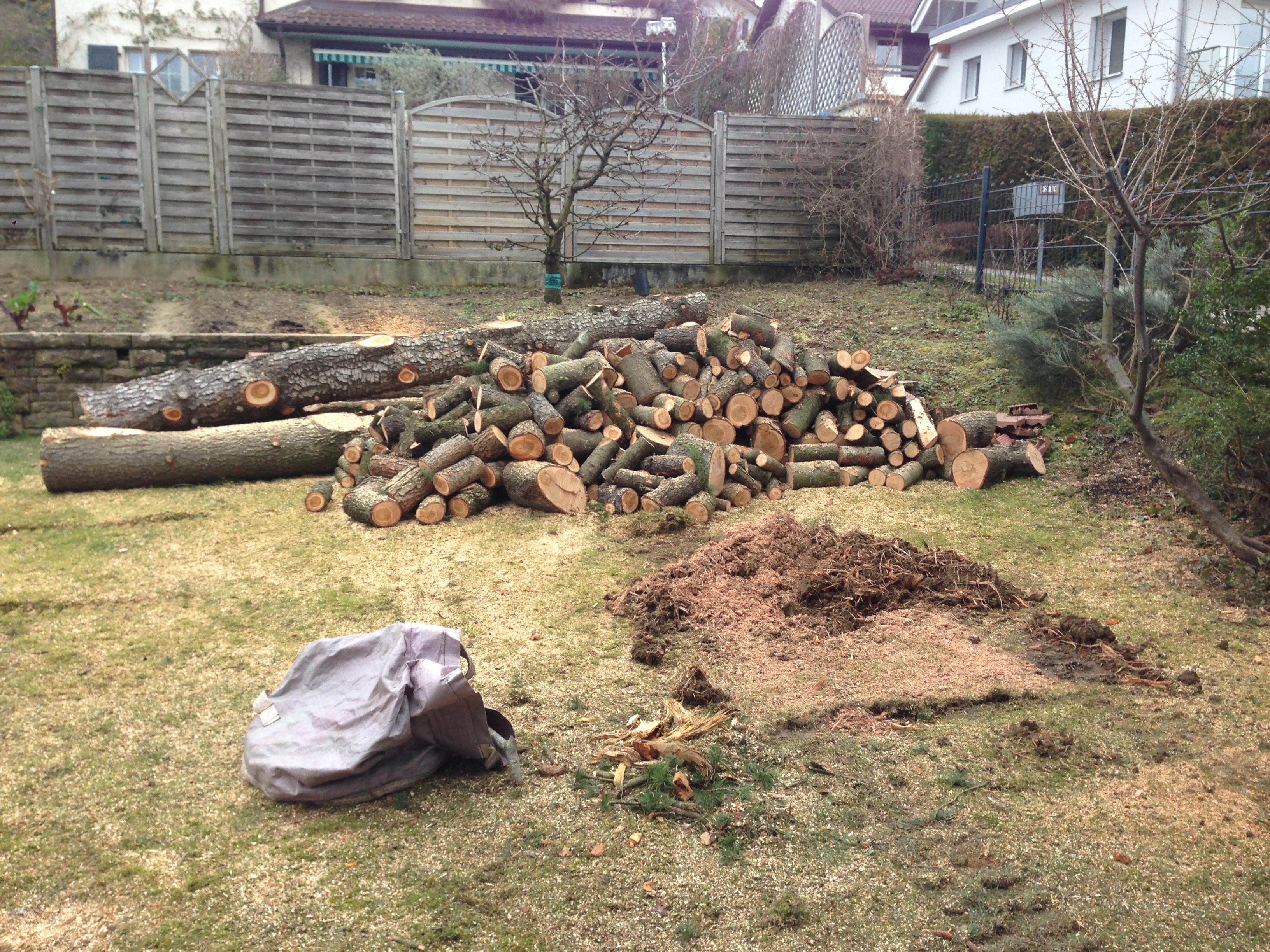 Broyage de souche dans le Jura — SAS POLYVIER